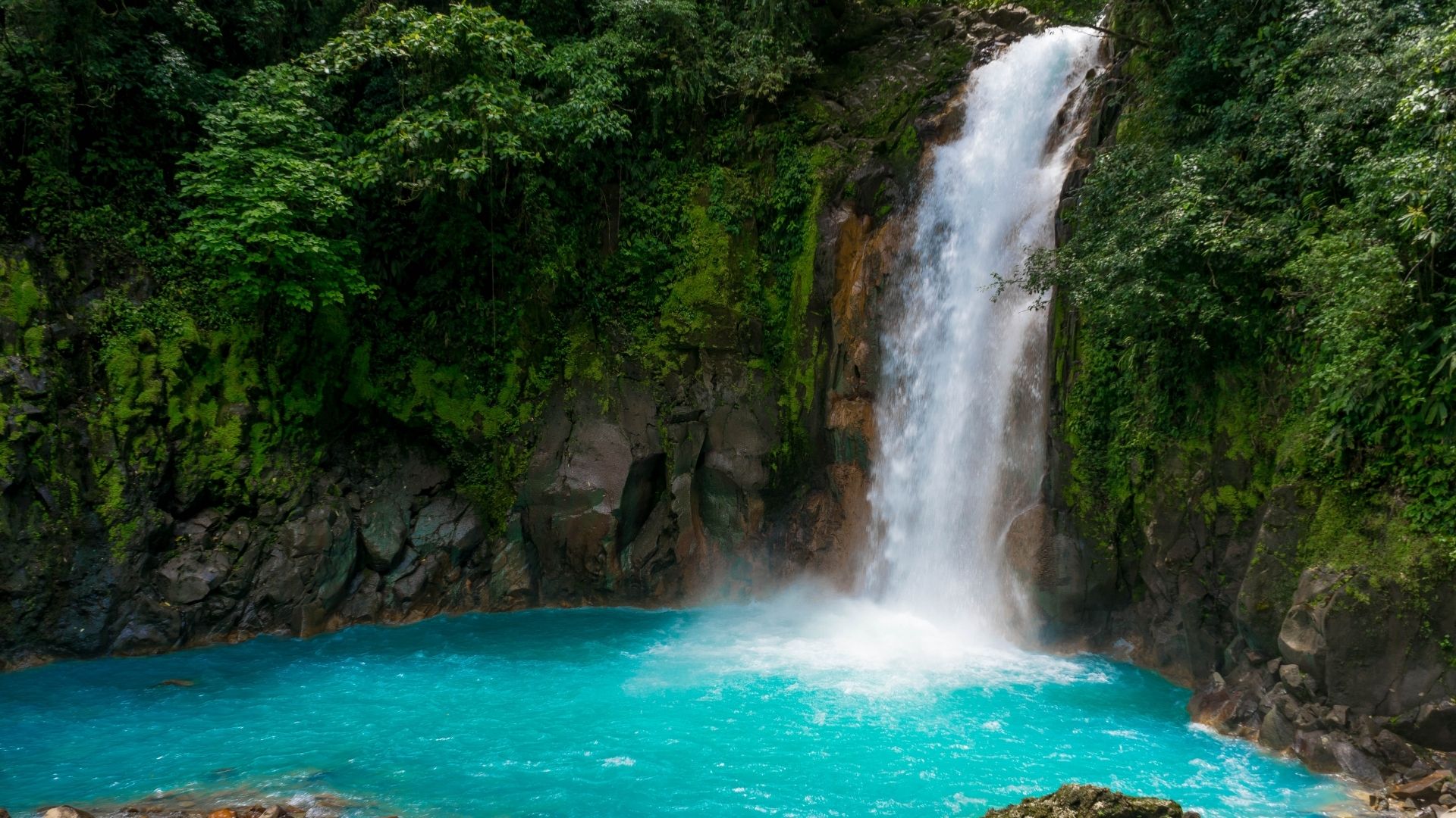 Arenal - Monteverde (1/2)